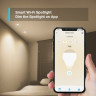 Лампа TP-LINK Tapo L610