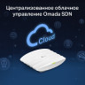 Точка доступа Wi-Fi TP-LINK AC1750 EAP265 HD с MU-MIMO