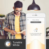 Умная лампа TP-LINK KL120 KASA с регулировкой теплоты света