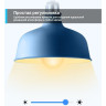 Умная Wi-Fi лампа TP-LINK TAPO L520E диммируемая