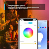 Умная Wi-Fi лампа TP-LINK TAPO L530E многоцветная